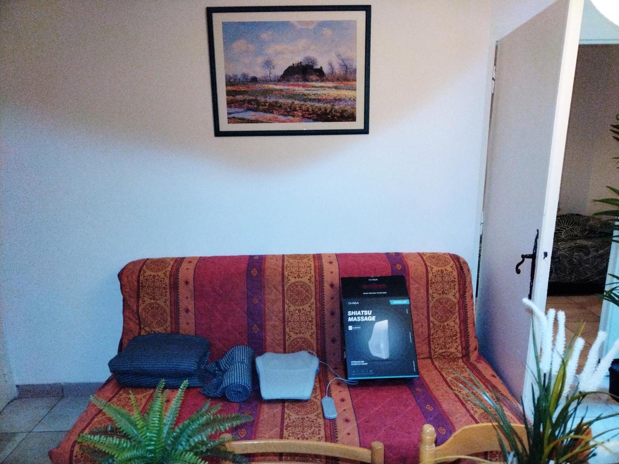 Residence Du Parc Des Tilleuls De Lyon 82 M2 Pkg Free Екстер'єр фото
